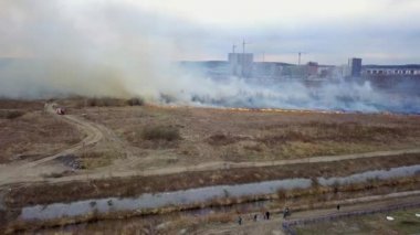 Büyük bir yangın. Kuru ot yanıyor. çok duman. Ekaterinburg, Rusya Federasyonu. Video. UltraHD (4k)