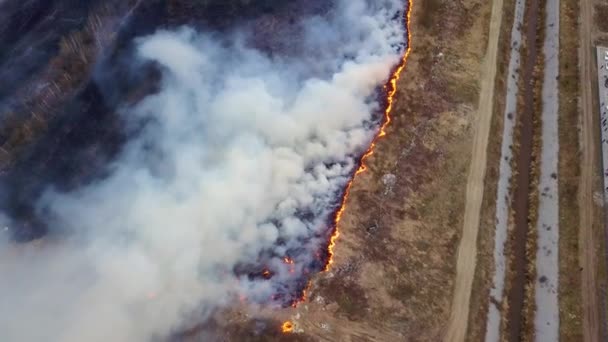 Een Grote Brand Droog Gras Brandt Veel Rook Ekaterinburg Rusland — Stockvideo