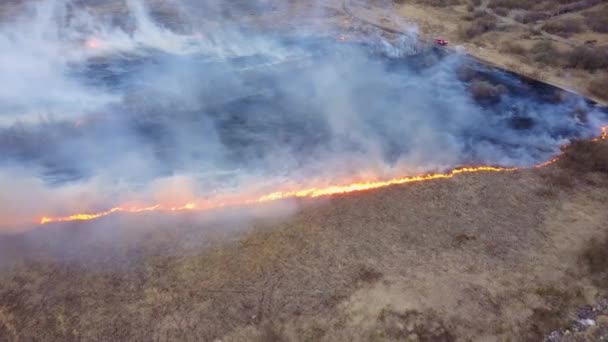 Een Grote Brand Droog Gras Brandt Veel Rook Ekaterinburg Rusland — Stockvideo