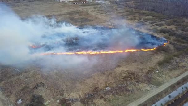 Big Fire Dry Grass Burning Much Smoke Ekaterinburg Russia Video — Stock Video