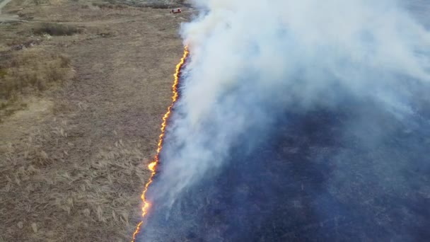 Stor Brand Det Torra Gräset Brinner Mycket Rök Ekaterinburg Ryssland — Stockvideo