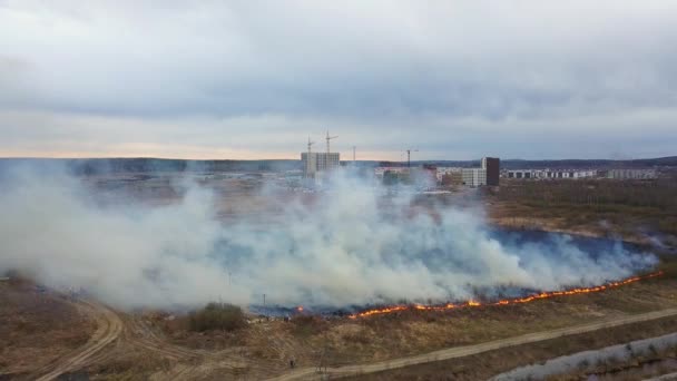 Wielki Pożar Płonie Suchej Trawy Dużo Dymu Ekaterinburg Federacja Rosyjska — Wideo stockowe