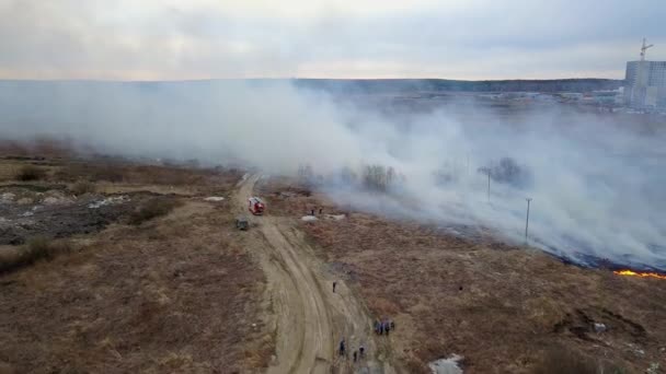 Gran Incendio Hierba Seca Está Ardiendo Mucho Humo Ekaterinburg Rusia — Vídeo de stock