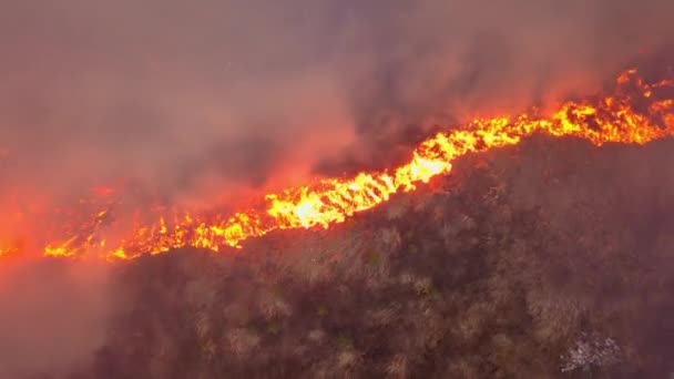 Big Fire Dry Grass Burning Much Smoke Ekaterinburg Russia Video — Stock Video