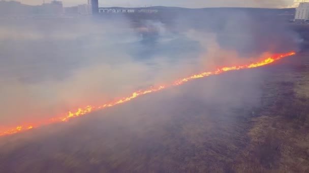 Een Grote Brand Droog Gras Brandt Veel Rook Ekaterinburg Rusland — Stockvideo