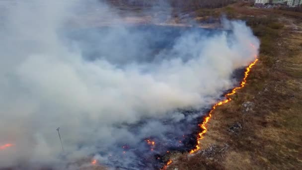 Stor Brand Det Torra Gräset Brinner Mycket Rök Ekaterinburg Ryssland — Stockvideo
