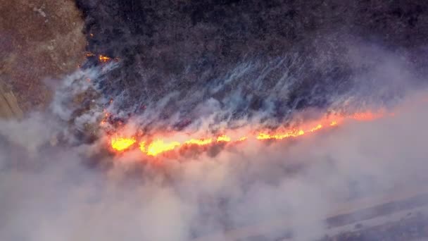 Un grand feu. L'herbe sèche brûle. beaucoup de fumée. Ekaterinbourg, Russie. Vidéo. UltraHD (4K )