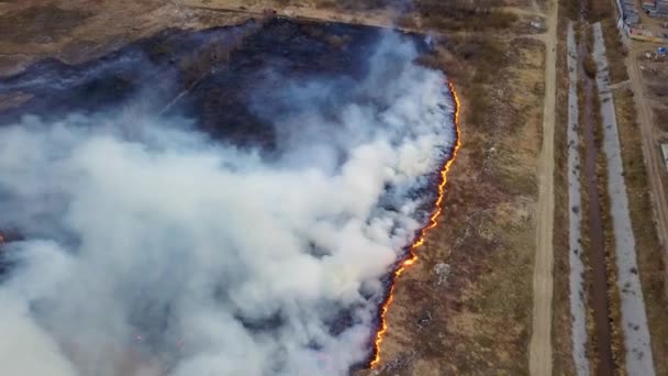 Ein Großes Feuer Das Trockene Gras Brennt Viel Rauch Ekaterinburg — Stockvideo