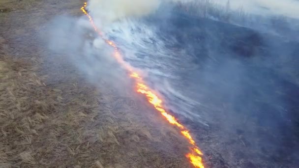 Wielki Pożar Płonie Suchej Trawy Dużo Dymu Ekaterinburg Federacja Rosyjska — Wideo stockowe