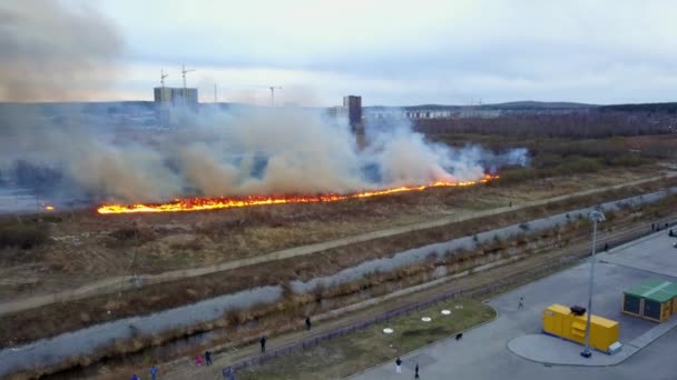 Big Fire Dry Grass Burning Much Smoke Ekaterinburg Russia Video — Stock Video