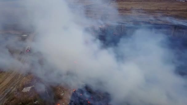 Velký Požár Vypalování Suché Trávy Hodně Kouře Jekatěrinburg Rusko Video — Stock video