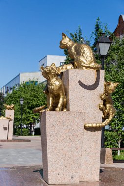 Rusya, Tyumen - 15 Temmuz 2018: Kedi heykeli. Siberian kedi Meydanı, Tyumen şehir merkezi. Anıt Siberian kedi