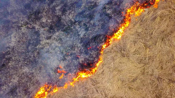 Ein Großes Feuer Das Trockene Gras Brennt Viel Rauch Ekaterinburg — Stockfoto