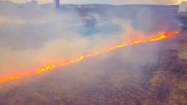Gran Incendio Hierba Seca Está Ardiendo Mucho Humo Ekaterinburg Rusia —  Fotos de Stock