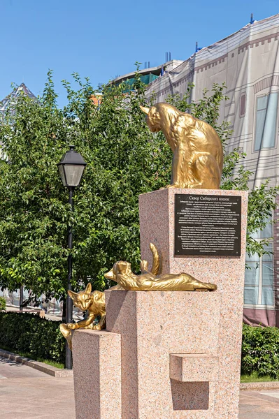 Rusko Ťumeň Července 2018 Plastika Kočky Square Sibiřských Koček Střed — Stock fotografie
