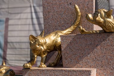 Rusya, Tyumen - 15 Temmuz 2018: Kedi heykeli. Siberian kedi Meydanı, Tyumen şehir merkezi. Anıt Siberian kedi