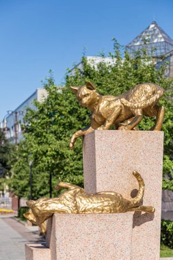 Rusya, Tyumen - 15 Temmuz 2018: Kedi heykeli. Siberian kedi Meydanı, Tyumen şehir merkezi. Anıt Siberian kedi