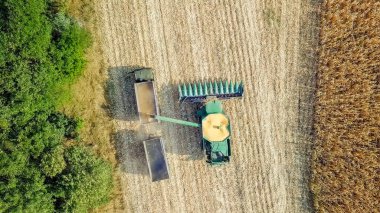 Rusya, Krasnodar - 30 Ağustos 2017: mısır hasat. Hasat alanından Mısır toplamak. Rusya