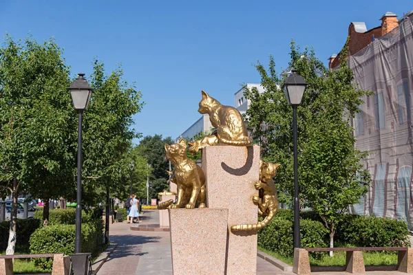 Rusko Ťumeň Července 2018 Plastika Kočky Square Sibiřských Koček Střed — Stock fotografie