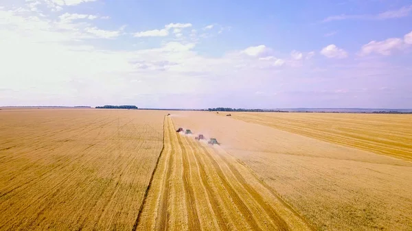 Combine Harvester Harvest Wheat Field — Stock Photo, Image