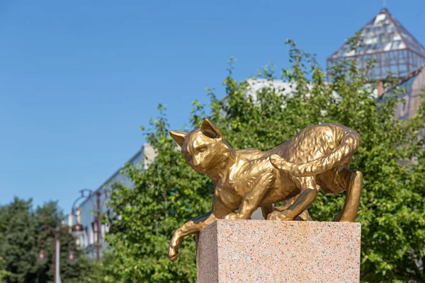 Russia Tyumen July 2018 Sculpture Cat Square Siberian Cats Center — Stock Photo, Image