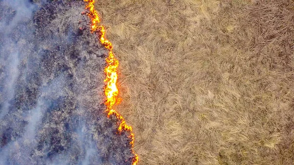 Ein Großes Feuer Das Trockene Gras Brennt Viel Rauch Ekaterinburg — Stockfoto