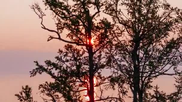 Russie Lac Baïkal Île Olkhon Coucher Soleil Dans Les Branches — Video