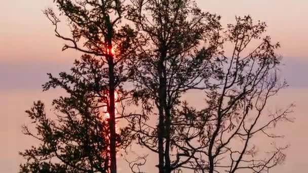 Russland Baikalsee Insel Olchon Sonnenuntergang Den Ästen Eines Baumes Blick — Stockvideo