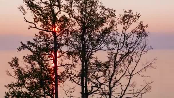 俄罗斯 贝加尔湖 奥尔洪岛岛 夕阳在树的树枝 查看整个小海湾 超高清 — 图库视频影像