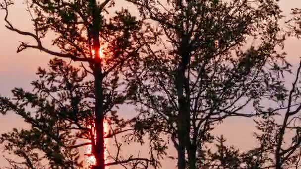 Russie Lac Baïkal Île Olkhon Coucher Soleil Dans Les Branches — Video