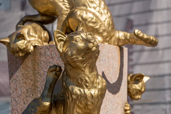 Rússia Tyumen Julho 2018 Escultura Gato Praça Dos Gatos Siberianos — Fotografia de Stock