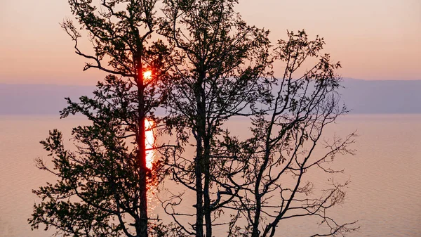 俄罗斯 贝加尔湖 奥尔洪岛岛 夕阳在树的树枝 查看整个小海湾 — 图库照片