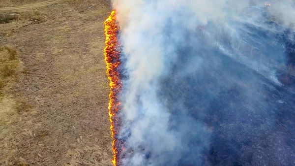 Gran Incendio Hierba Seca Está Ardiendo Mucho Humo Ekaterinburg Rusia — Foto de Stock