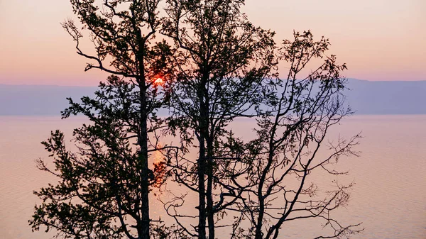 俄罗斯 贝加尔湖 奥尔洪岛岛 夕阳在树的树枝 查看整个小海湾 — 图库照片