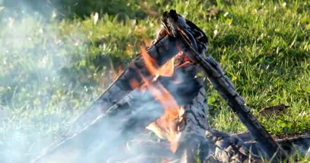 Fogueira Perto Boa Noite Vídeo Ultrahd — Vídeo de Stock