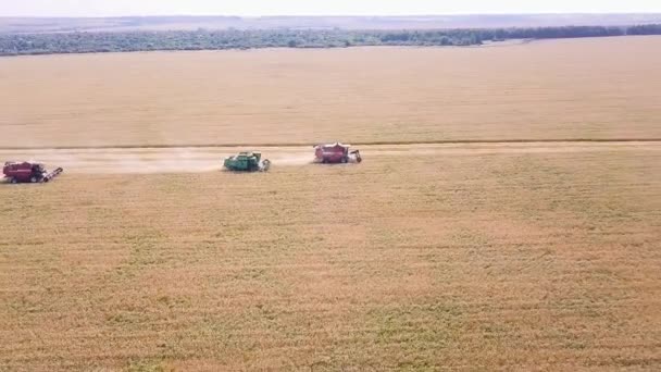 Russland Moksha District Penza August 2017 Mähdrescher Erntet Weizen Auf — Stockvideo