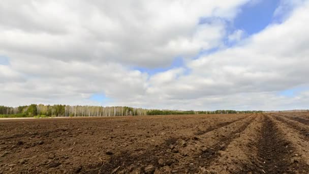 Upplöjd Fältet Efter Plantering Potatis Tid Förflutit Video Ultrahd — Stockvideo