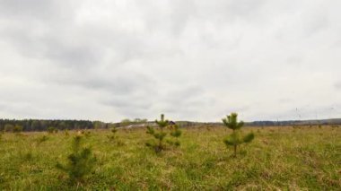 Gökyüzüne yağmur sonra temizlenir. HDR. Video. UltraHD (4k)