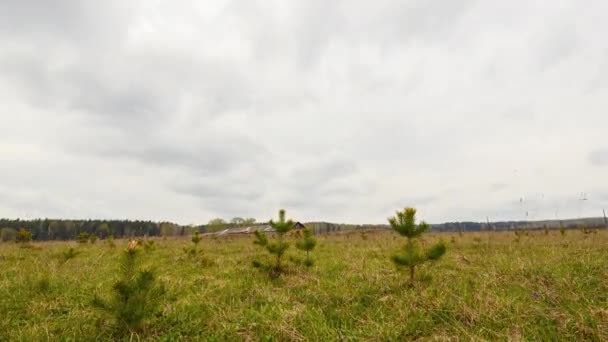 Ciel Est Dégagé Après Pluie Hdr Vidéo Ultrahd — Video