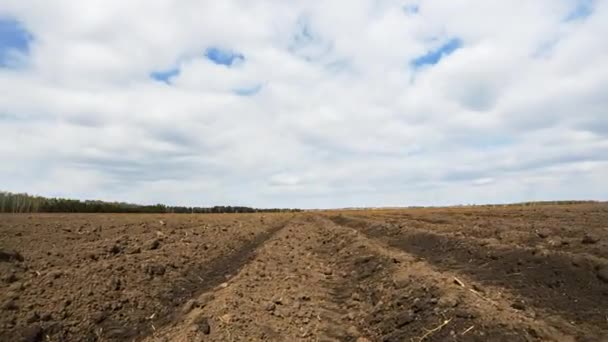 Upplöjd Fältet Efter Plantering Potatis Tid Förflutit Video Ultrahd — Stockvideo