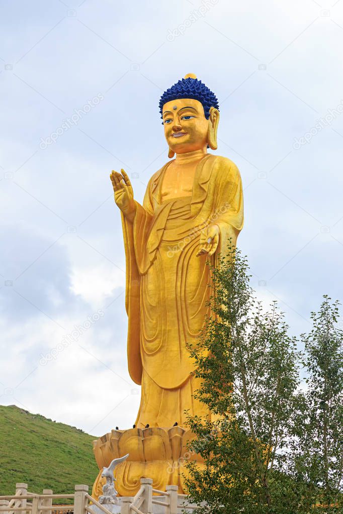 Mongolia, Ulaanbaatar. Buddha International Park. Buddha statue
