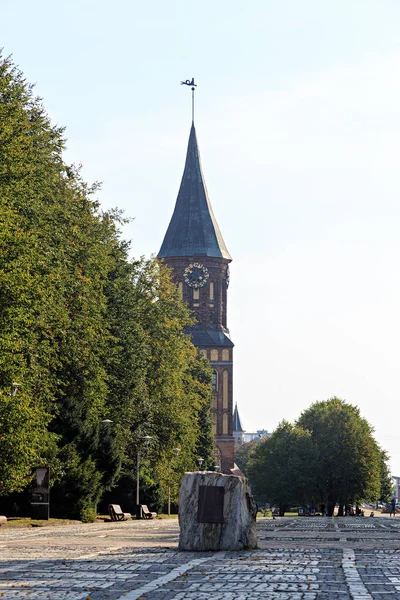 Rosja Kaliningrad Września 2018 Centralnej Części Miasta Kaliningrad Wieża Zegarowa — Zdjęcie stockowe