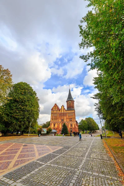 Rusia Kaliningrado Catedral Kalinidgrad Tiempo Lluvioso —  Fotos de Stock