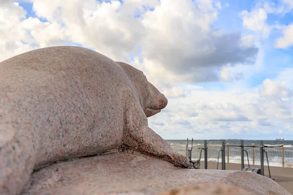 Rusia Zelenogradsk Septiembre 2018 Seadog Piedra Sobre Una Prominencia —  Fotos de Stock