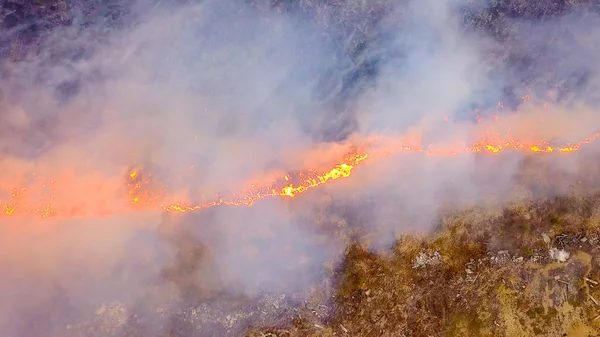 Grand Feu Herbe Sèche Brûle Beaucoup Fumée Ekaterinburg Russie Dron — Photo