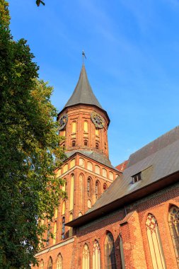 Kaliningrad, saat kulesi şehir merkezi parçası. Kaliningrad Katedrali Kant ada üzerinde. Rusya