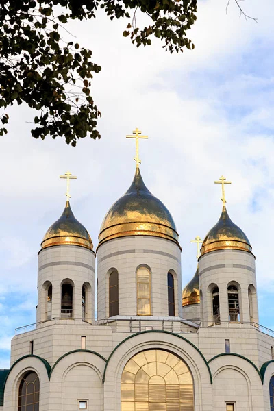 俄罗斯加里宁格勒救世主基督大教堂 胜利广场 — 图库照片