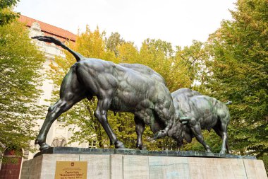 Rusya, Kaliningrad - 22 Eylül 2018: 