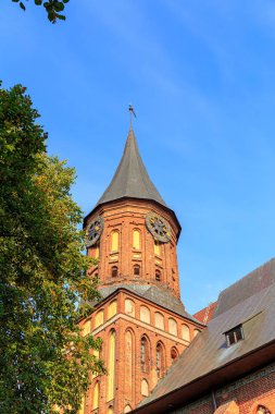 Kaliningrad, saat kulesi şehir merkezi parçası. Kaliningra
