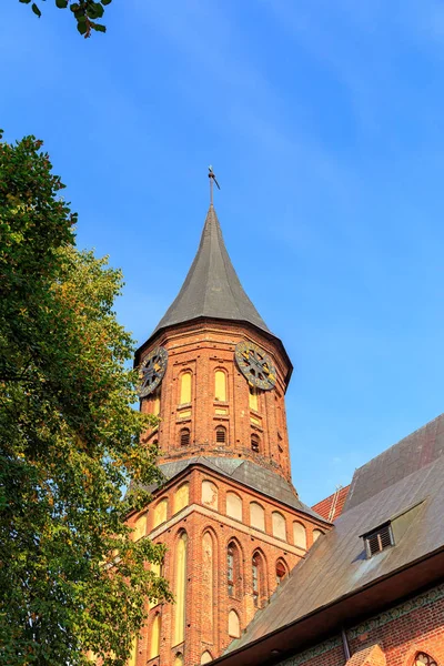 Parte central de la ciudad de Kaliningrado, Torre del Reloj. Kaliningra —  Fotos de Stock